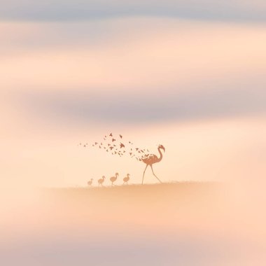 Flamingo ailesi, uçan kuşlar. Nesli tükenmekte olan hayvanlar. Ölüm ve ölümden sonraki yaşam