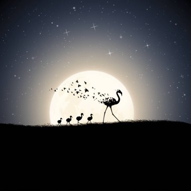 Flamingo ailesi, ay ışığı gecesi. Nesli tükenmekte olan kuş. Ölüm ve ölümden sonraki yaşam