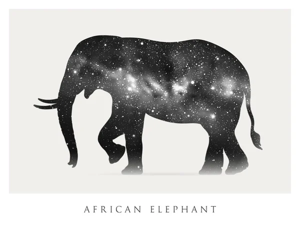 Silhouette Éléphant Forme Animale Abstraite Ciel Étoilé Nocturne — Image vectorielle