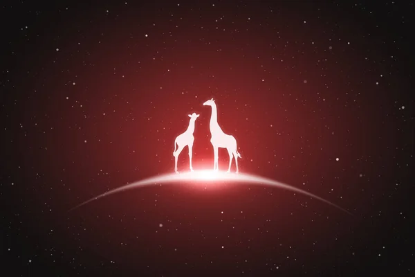 Famille Girafe Silhouette Animal Danger Ciel Étoilé Contour Lumineux — Image vectorielle