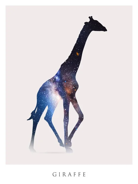 Giraffe Silhouet Geïsoleerde Abstracte Dierlijke Omtrek Nacht Sterrenhemel — Stockvector