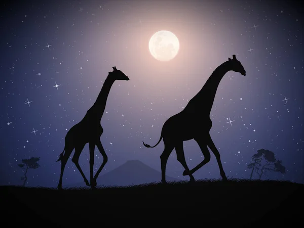 Zwei Giraffen Wandeln Der Savanne Tierische Silhouette Vollmond Der Nacht — Stockvektor