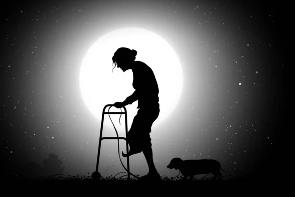 Old Woman Walker Starry Night Elderly Lady Dog Full Moon — Wektor stockowy