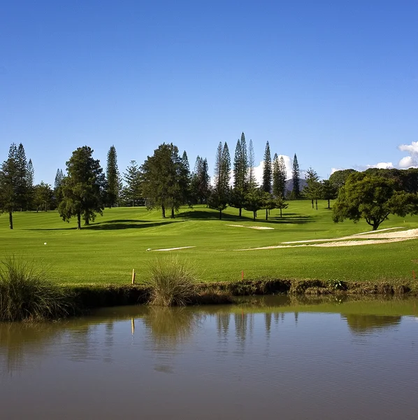 Golfe — Fotografia de Stock