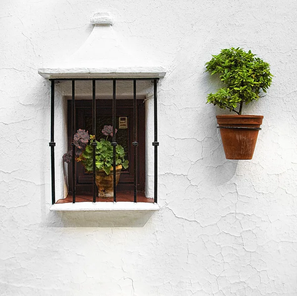 Window whit flowers — Stock Photo, Image