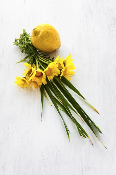 Citron med blommor — Stockfoto