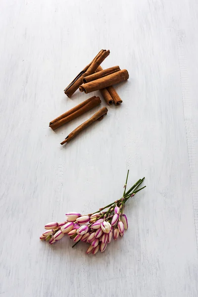 Flores y canela — Foto de Stock