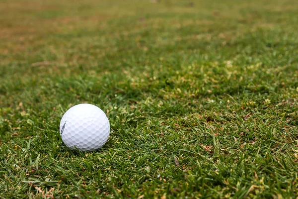 Golf Sahası