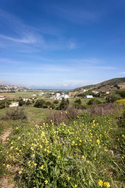 Spring fields — Stock Photo, Image