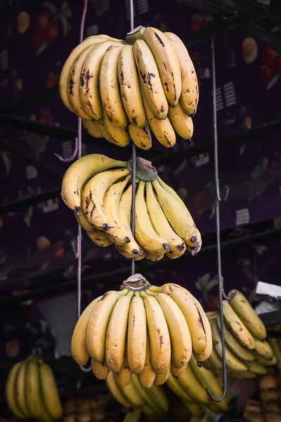 Banaanit — kuvapankkivalokuva