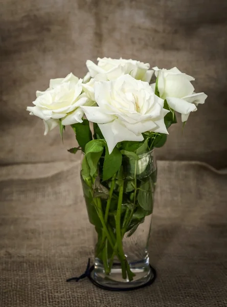 Flores blancas sobre fondo blanco — Foto de Stock