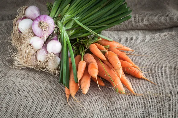 Cipolle e carote — Foto Stock