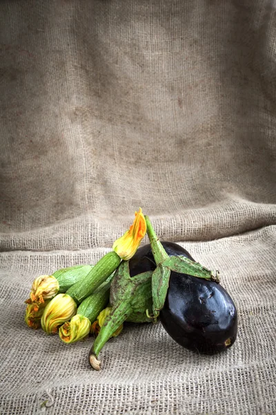 Courgettes and eggplants — Stock Photo, Image