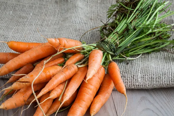 Zanahorias en saco —  Fotos de Stock