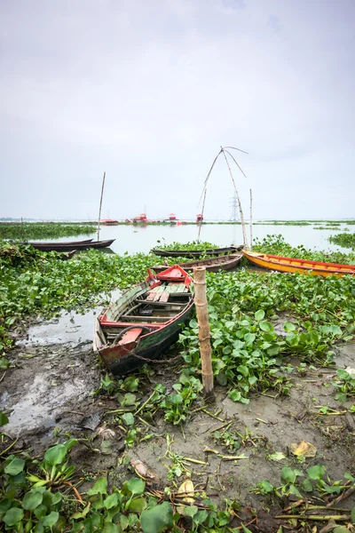 Bangladesh landschap — Stockfoto