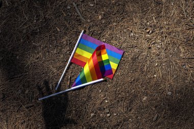 LGBT bayrağı sahada. Gurur. Özgürlük kavramı