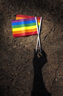 LGBT bayrağı sahada. Gurur. Özgürlük kavramı
