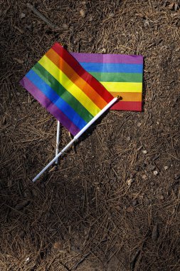 LGBT bayrağı sahada. Gurur. Özgürlük kavramı