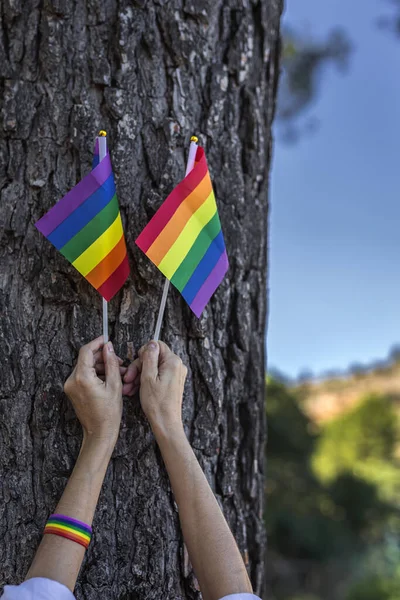 Lgbt Bayrağı Sahada Gurur Özgürlük Kavramı — Stok fotoğraf