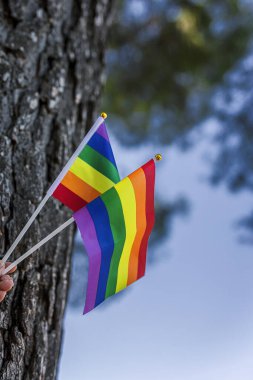 LGBT bayrağı sahada. Gurur. Özgürlük kavramı