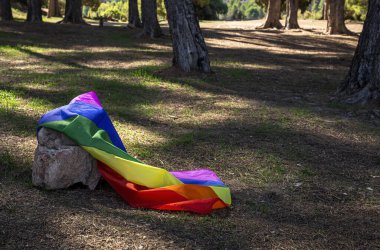 LGBT bayrağı sahada. Gurur. Özgürlük kavramı