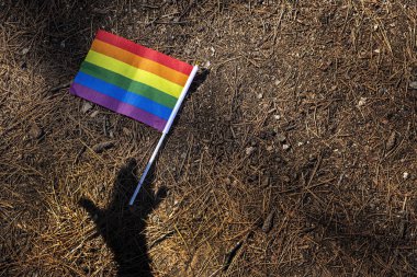 LGBT bayrağı sahada. Gurur. Özgürlük kavramı