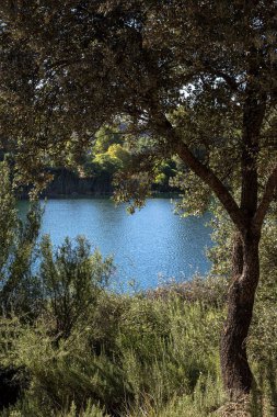 Güneşli bir günde gölü olan sonbahar manzarası