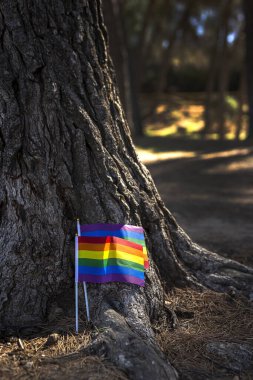 LGBT bayrağı sahada. Gurur. Özgürlük kavramı