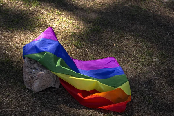 LGBT bayrağı sahada. Gurur. Özgürlük kavramı