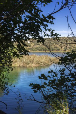 Güneşli bir günde gölü olan sonbahar manzarası