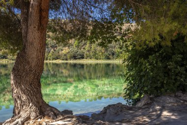 Güneşli bir günde gölü olan sonbahar manzarası