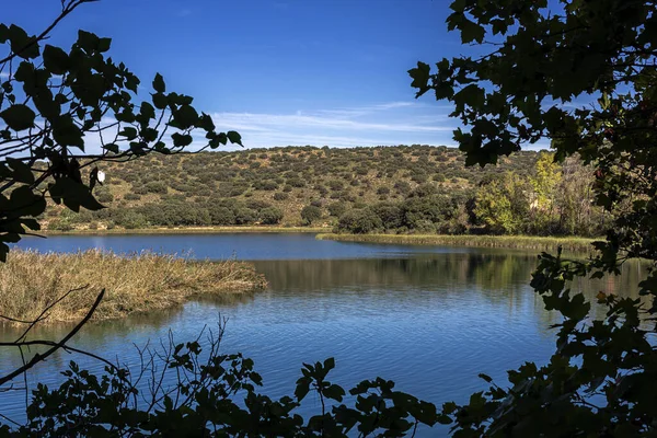 Podzimní Krajina Jezerem Slunečného Dne — Stock fotografie