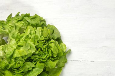 Renkli arka planda marul çeşitliliği. Vejetaryen gıda konsepti