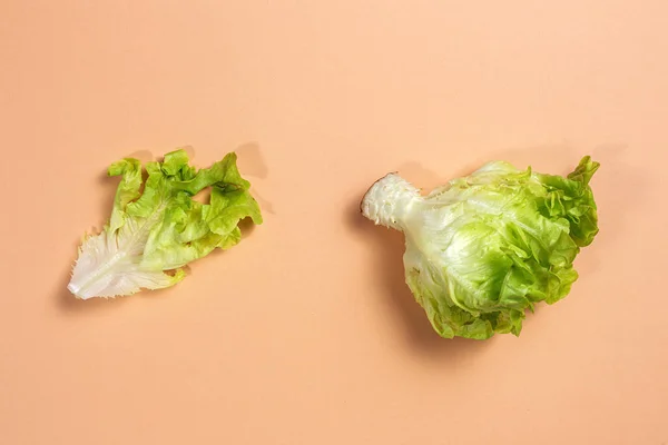 Lettuce Ποικιλία Φόντο Πολύχρωμο Φόντο Έννοια Χορτοφαγικών Τροφίμων — Φωτογραφία Αρχείου