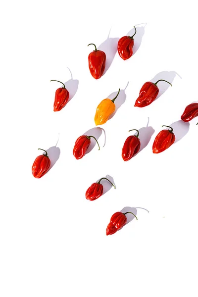 Background Habaneros Peppers Hot Chili Peppers Colorful Backgrounds Sunlight Flat — Stockfoto