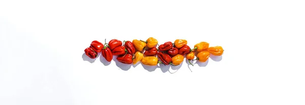 Background Habaneros Peppers Hot Chili Peppers Colorful Backgrounds Sunlight Flat — Stock Photo, Image