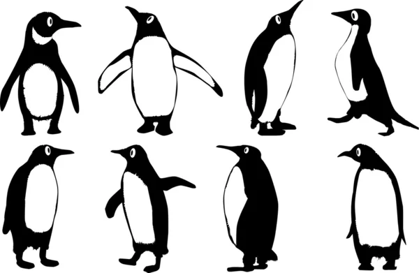 Penguenler. — Stok Vektör