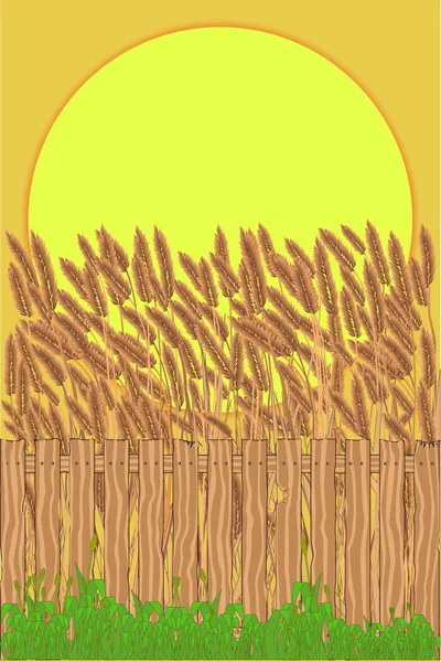 Crop Field — Stock Vector