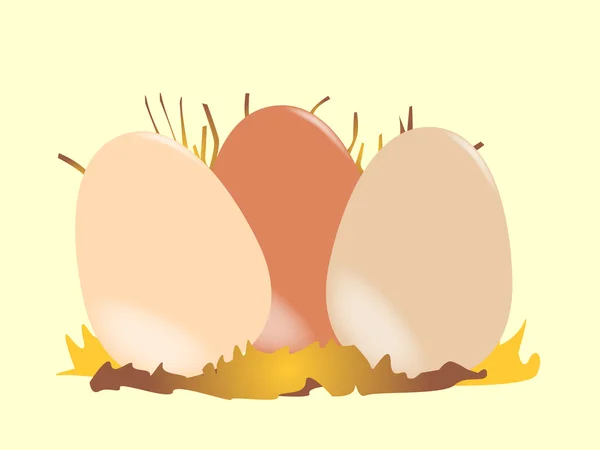 Eggs — Stock Vector