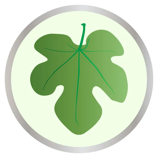 イチジクの葉のボタン — ストックベクタ