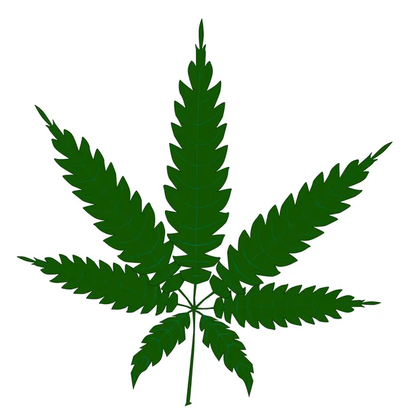 Marihuana — Vector de stock