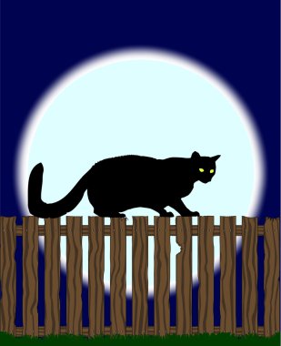 Çitteki kedi