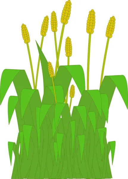Verge d'herbe — Image vectorielle
