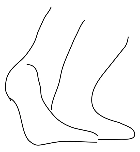 발목 — 스톡 벡터