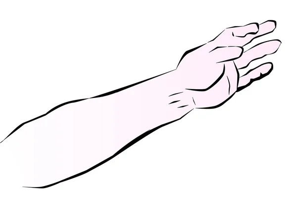 Человеческая рука — стоковый вектор