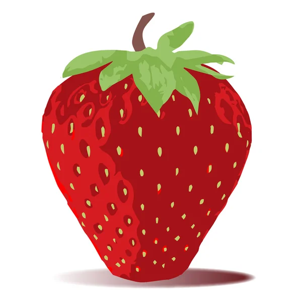 Frutilla — Vector de stock