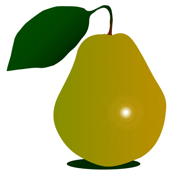 Pear — Stock Vector