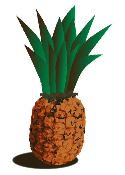 Ananas — Stock vektor