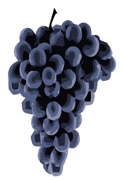 Black Grapes — Stock Vector