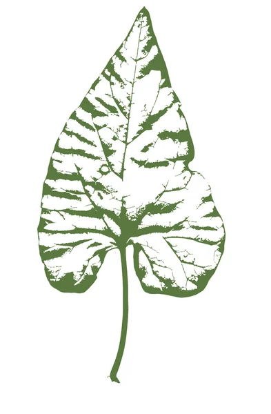 Ivy blad — Stockvector